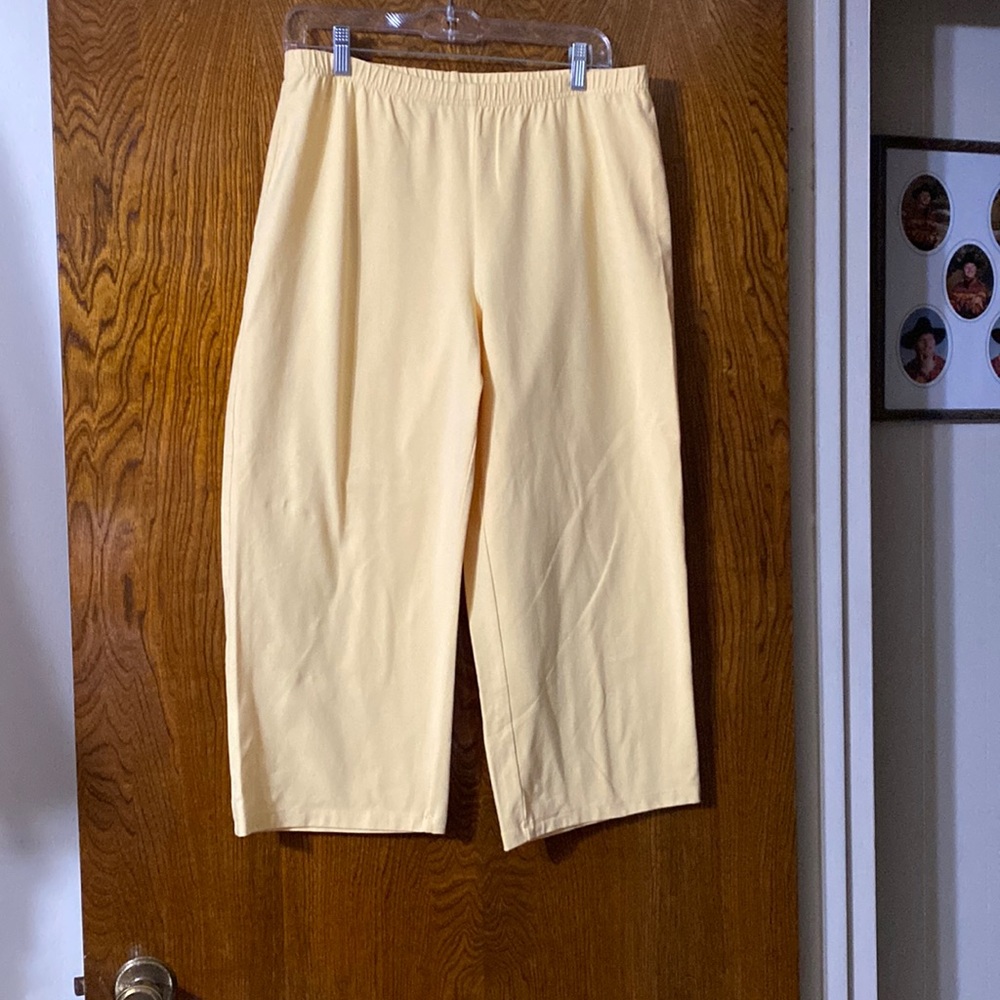 Women With Control /  crop pants / size 1X